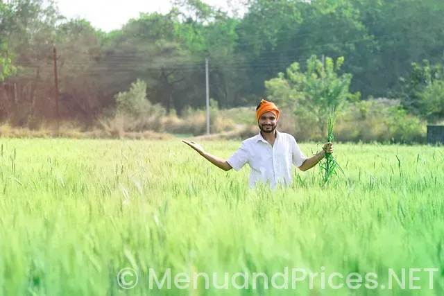 Pizza bar collins ave menu