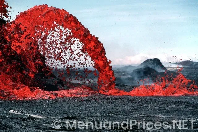 Potbelly sandwich shop menu and prices