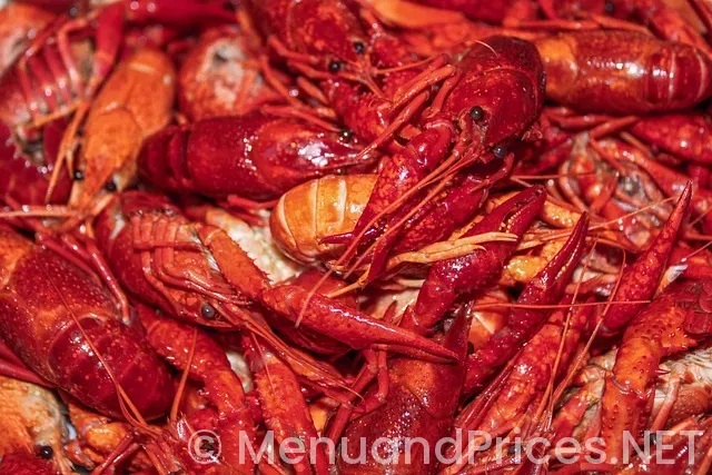 Printable Restaurant Menus with Prices