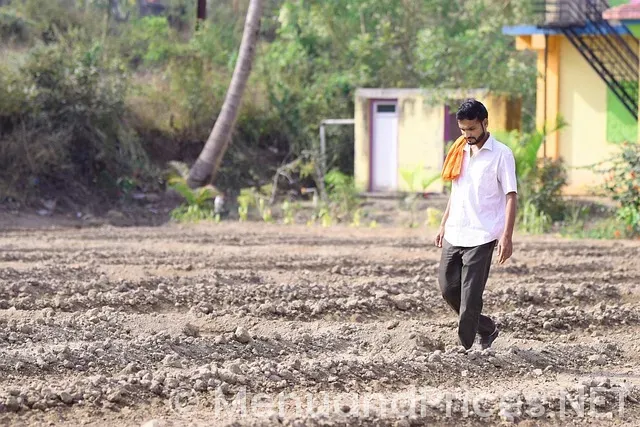 Qr code generator for menus