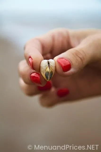 Rao's miami beach menu