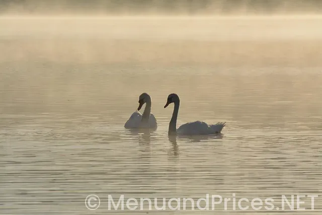 Regent seven seas menus