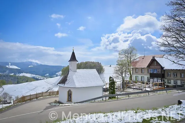 Restaurant menu monitors