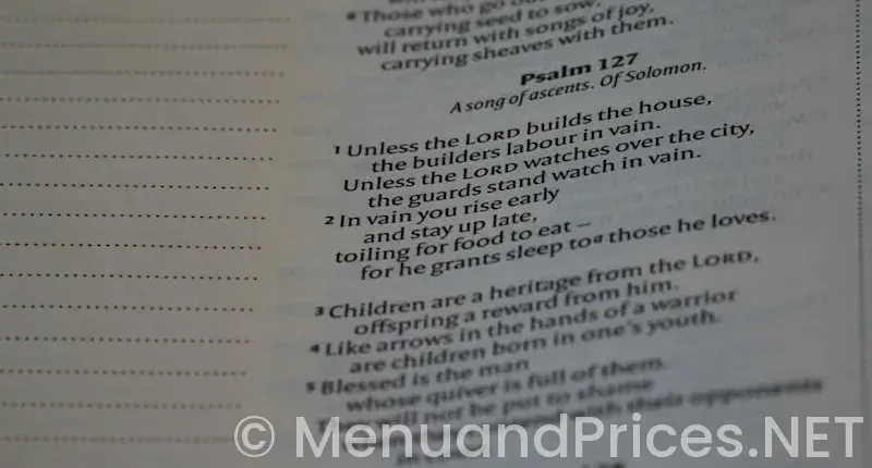 Sample Menus for Care Homes