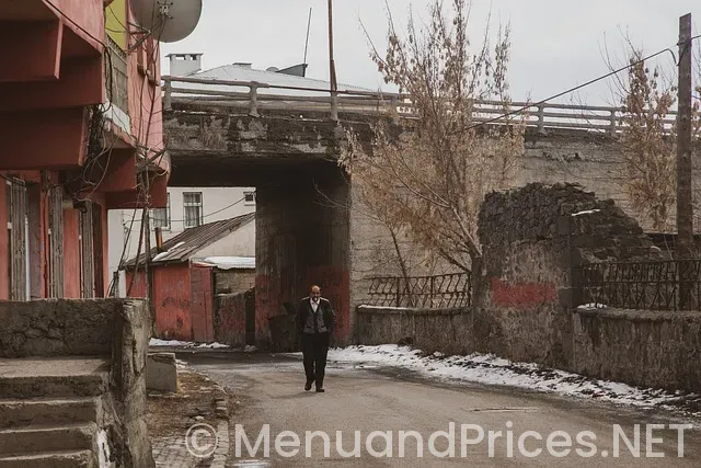 Schlotzsky's catering menu