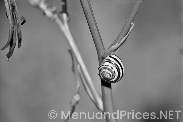 Shiver and shake pueblo west menu