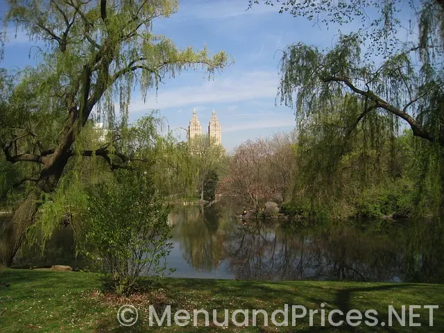 Smashburger new hyde park menu