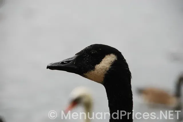 Smashburger new hyde park menu