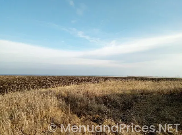 Smashburger sugar land menu