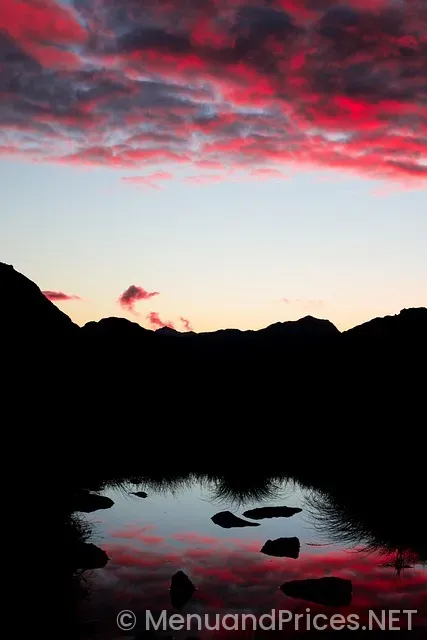 South coast deli menu South coast deli menu