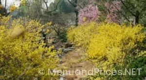 Spring creek menu and prices