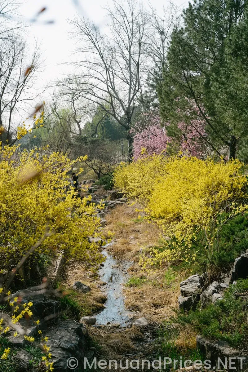 Spring creek menu and prices