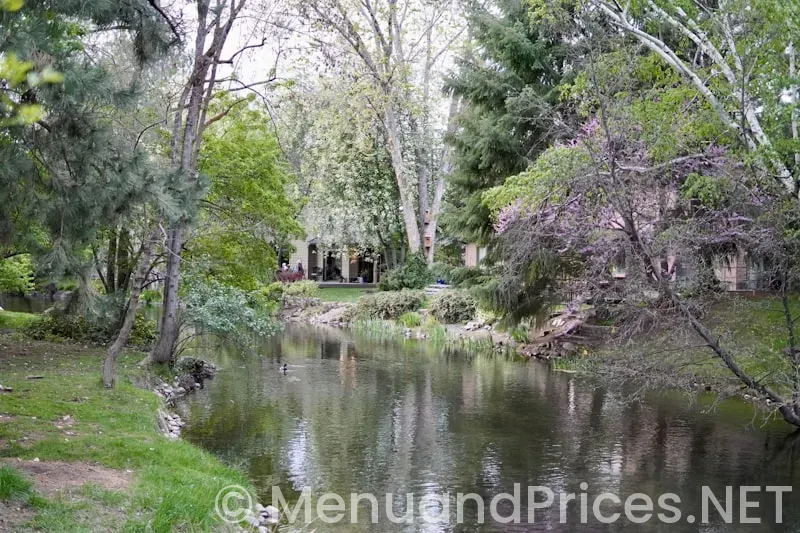 Spring creek menu and prices