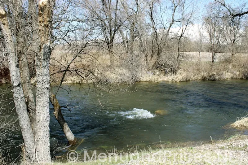 Spring creek menu and prices