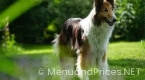 The Farmers Puppy Menu