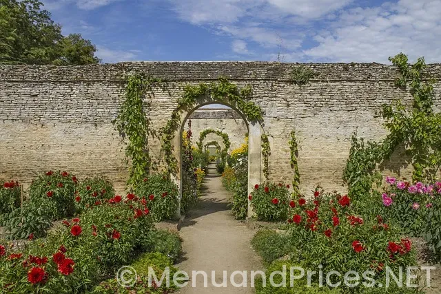 The farmers puppy menu