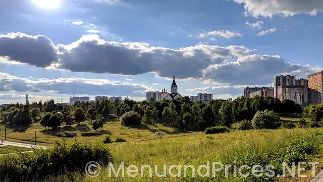 The spices restaurant & bar green bay menu