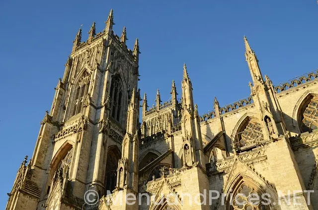 The vault dispensary menu