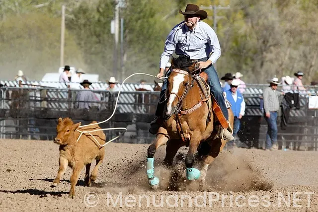 Two brothers mining co menu