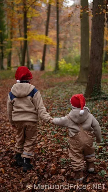 Two brothers mining company menu