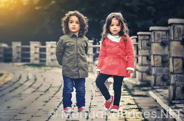 Two brothers mining company menu