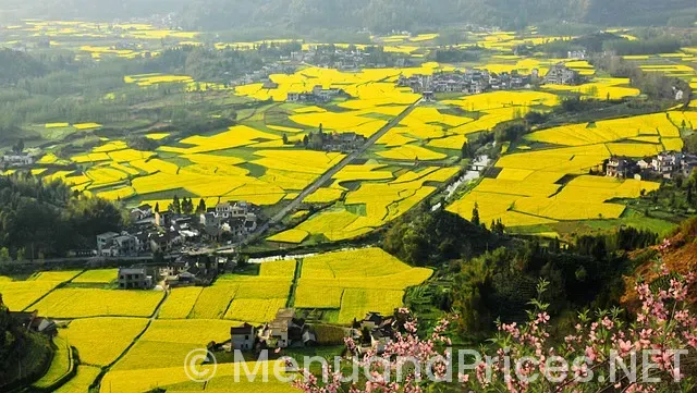 ee to leet ke grill menu