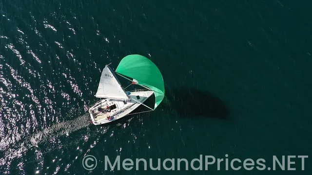 Viking Ocean Cruise Menus 2024