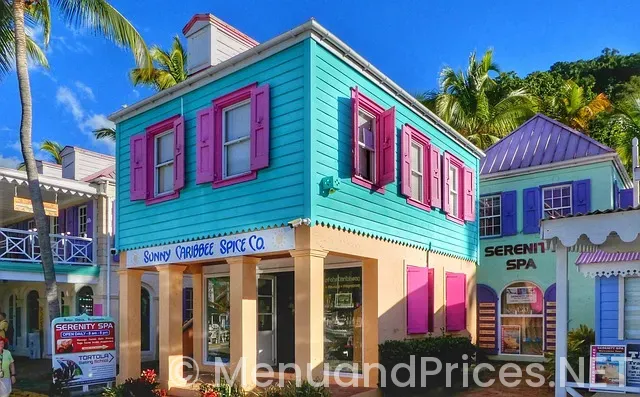 Virgin voyages bar menus