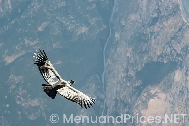 Wawa menu and prices