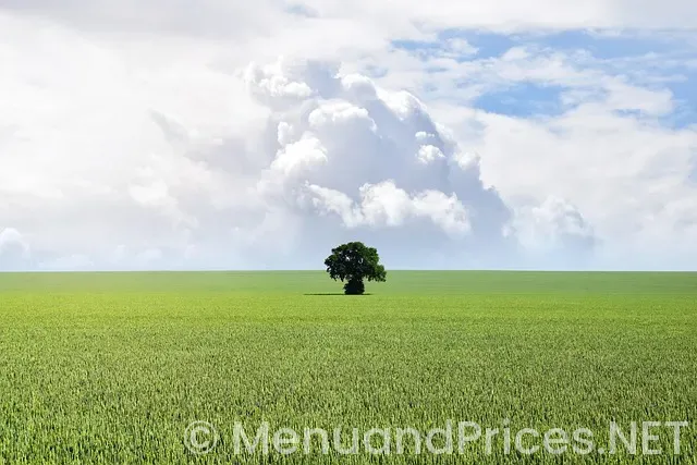 Weekly menus for seniors