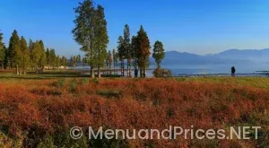 Wegmans sub shop menu pdf