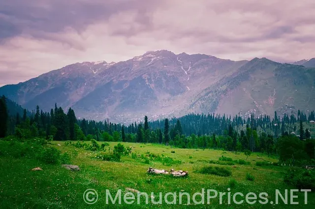 What type of menu do most fast food restaurants use