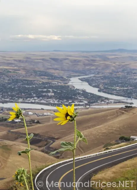 Axiom boise idaho Axiom boise idaho