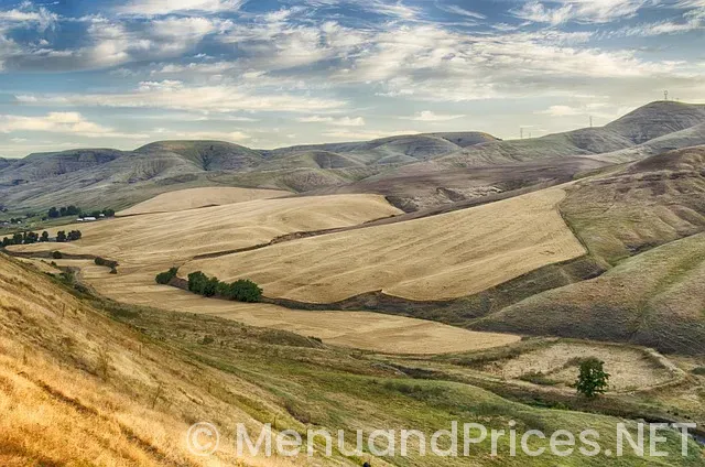 Axiom boise idaho Axiom boise idaho