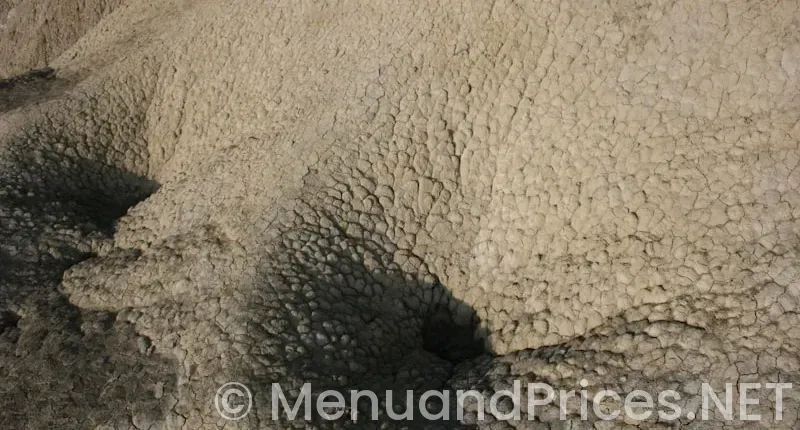 Chesaning hungry howies