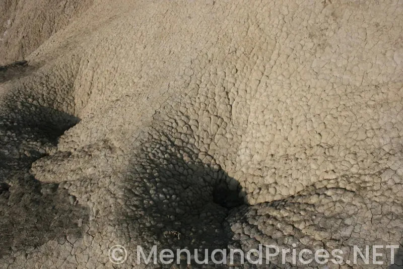 Chesaning hungry howies