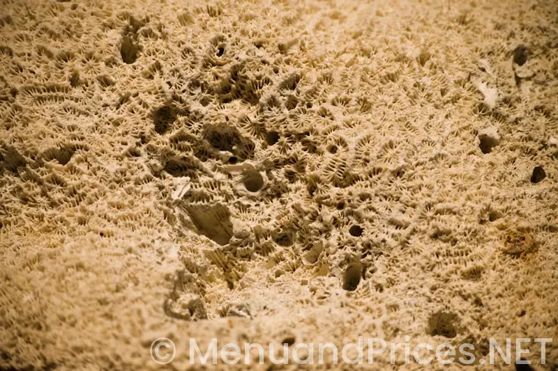 Chesaning hungry howies