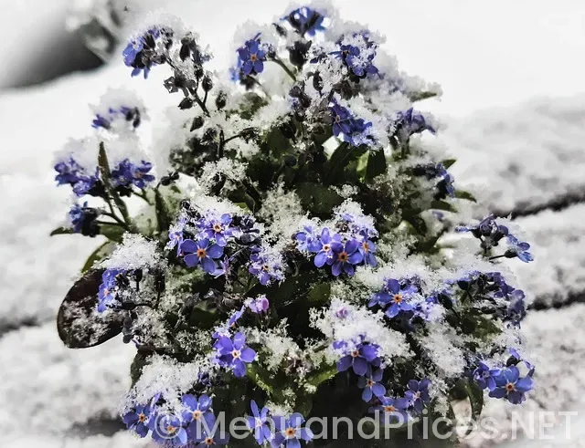 Desayuno dunkin donuts menú