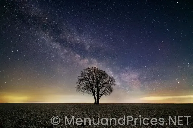 Does circle k have alani