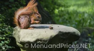 Eat n park application