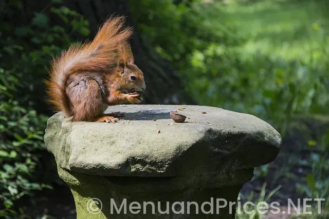 Eat n park application