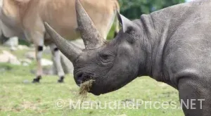 Eat n park hospitality group