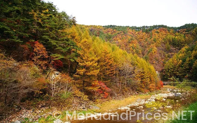 Eat n park job positions