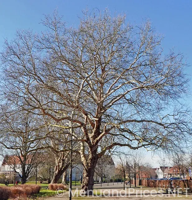 Eat n park north versailles north versailles pa