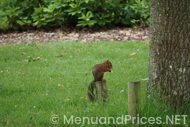 Eat n park north versailles north versailles pa
