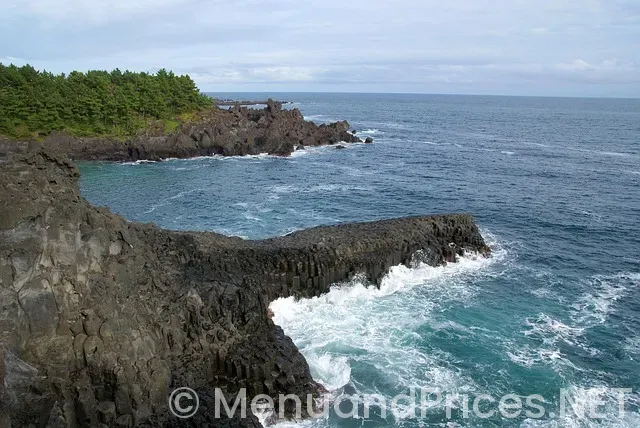 Eroxon gel where to buy near me