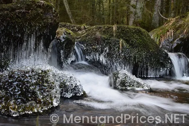 Eroxon gel where to buy near me