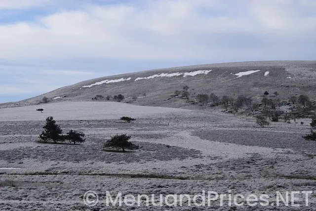 Eroxon gel where to buy near me