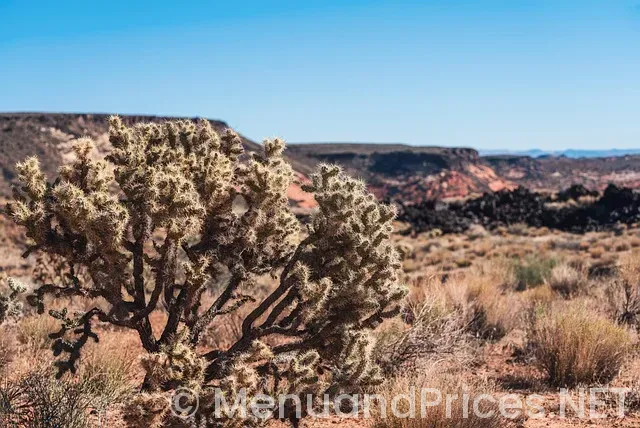 Helper utah restaurants