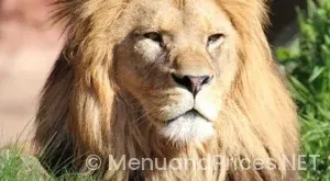 Johnny rockets hanover menu